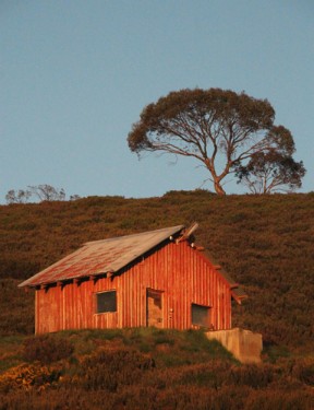 Cabin on the hillJill Hancock